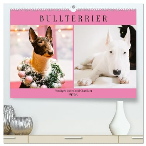 Bullterrier. Freudiges Wesen und Charakter (hochwertiger Premium Wandkalender 2026 DIN A2 quer), Kunstdruck in Hochglanz: Ein eleganter und ... nichts aus der Ruhe bringt! (CALVENDO Tiere)