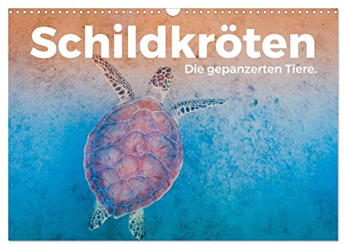 Schildkröten - Die gepanzerten Tiere. (Wandkalender 2026 DIN A3 quer), CALVENDO Monatskalender: Tauchen Sie ein in die tolle Welt der Schildkröten. (CALVENDO Orte)