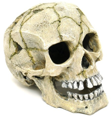 CLASSIC Polyresin Cracked Skull 20.5cm 750g
