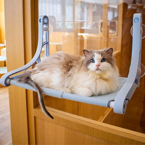 DELURA Zusammenklappbare Sitzstange Für Katzenfenster,Robuste Und Stabile Hängematte Für Katzenfenster Mit 4 Starken Saugnäpfen