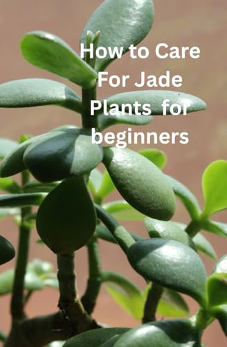 HOW TO CARE FOR JADE PLANTS FOR BEGINNER: Green Thumb Magic: Your Easy Guide to Thriving Jade Plants
