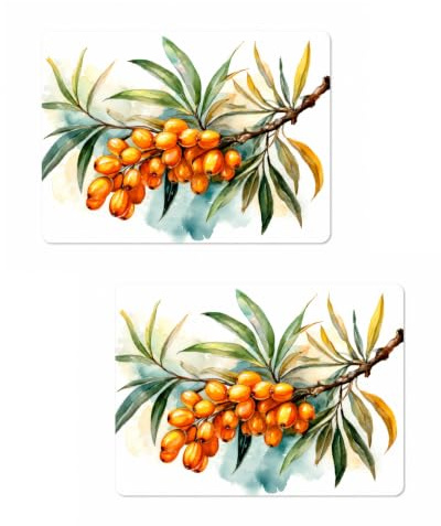 Blumiges Platzset mit Korkunterseite – 40 x 30 cm, 2X Sanddornzweig Emma | langlebende Alternative zu Tischdecken – Schützt den Esstisch vor Kratzern – Pflegeleichter Eyecatcher – Seaside No.64