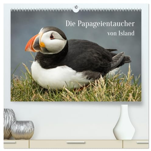 Die Papageientaucher von Island (hochwertiger Premium Wandkalender 2026 DIN A2 quer), Kunstdruck in Hochglanz: Lassen Sie sich von den Puffins an ... durch das Jahr begleiten. (CALVENDO Tiere)