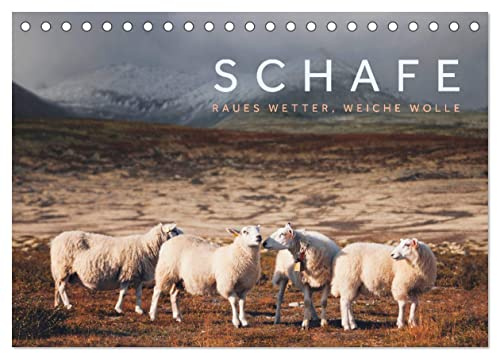 Schafe - Raues Wetter, weiche Wolle (Tischkalender 2026 DIN A5 quer), CALVENDO Monatskalender: Schafe kennen kein schlechtes Wetter, die Frisur sitzt auch bei Windstärke 10. (CALVENDO Tiere)