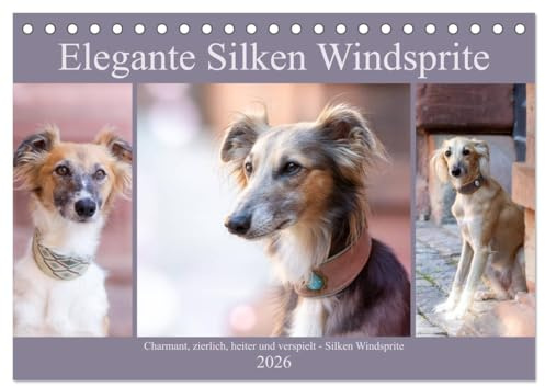 Elegante Silken Windsprite (Tischkalender 2026 DIN A5 quer), CALVENDO Monatskalender: Elegant, rasant, entspannt - der Silken Windsprite (CALVENDO Tiere)