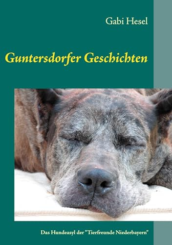 Guntersdorfer Geschichten: Das Hundeasyl der Tierfreunde Niederbayern