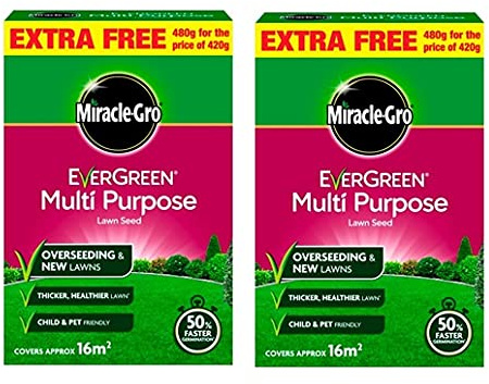 2x 480g MG Evergreen Lawn Seed