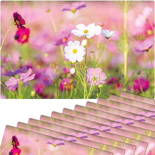 matches21 Frühlingshafte Tischsets Platzsets Motiv abwaschbar Frühling Blumen pink weiß Blumenwiese 12er 43,5x28,5 cm