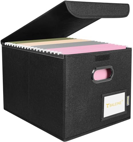 BALEINE File Organizer Box with Lid, Collapsible File Folder Organizer with Plastic Slide, Hanging File Folder Box for Office Document Storage (1 Pack, Black)