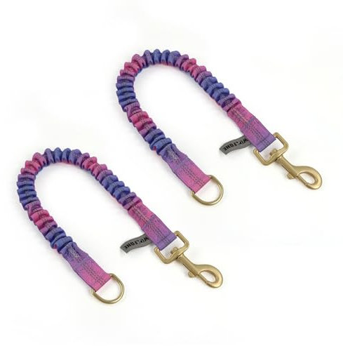 Wolfone Shock Absorber Reflektierende Fäden Bungee Hundeleine für Running， Training， Recall 2er Pack Violett-rot