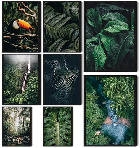 HappyArts® | Premium 8er Poster Set | Bilder Wohnzimmer Deko Schlafzimmer | Urban Jungle Dschungel Pflanzen Botanik Monstera (ohne Rahmen)