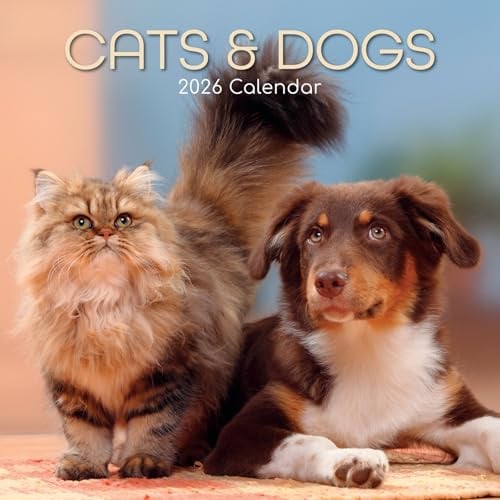 The Gifted Stationery 2026 Square Wall Calendar, Cats & Dogs, 16-Month Animals Theme Hanging Calendar with 180 Reminder Stickers, Month Planner for Home, or Creative Spaces, 12x12 In