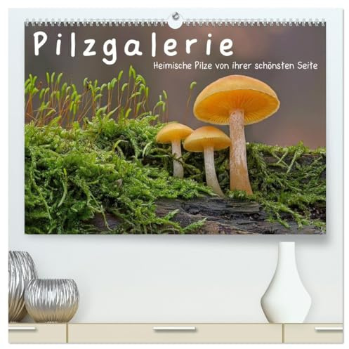 Pilzgalerie - Heimische Pilze von ihrer schönsten Seite (hochwertiger Premium Wandkalender 2026 DIN A2 quer), Kunstdruck in Hochglanz: Ein ... wundersame Welt der Pilze (CALVENDO Natur)