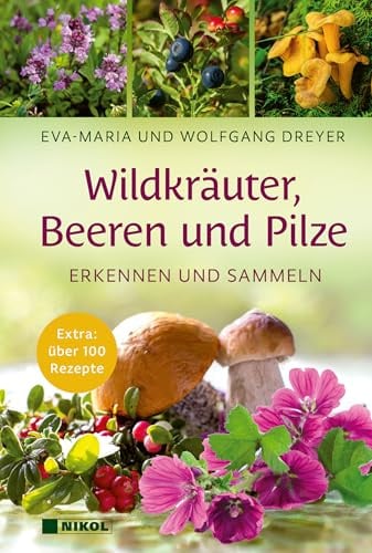 Wildkräuter, Beeren und Pilze: Erkennen und sammeln: Extra: über 100 Rezepte