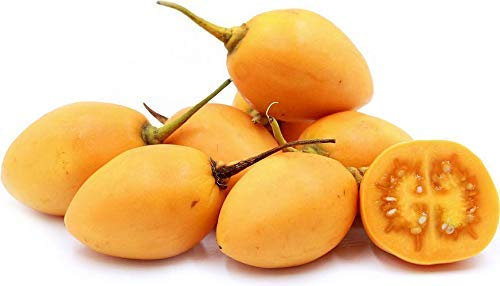 ?? 10 Semillas de Tomate de árbol (Cyphomandra betacea 'Amarillo') Semillas Tamarillo