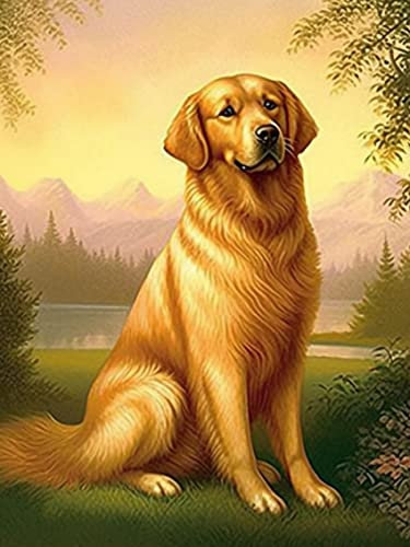 Reofrey Diamond Painting Zubehör DIY Diamantmalerei Gras Hund Golden Retriever Bohren Voll Stickerei Strass Diamant Malerei Set Wanddekoration 30x40 cm