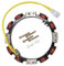 YUANGANG Lichtmaschine Ladespule Lichtmaschine Ersatzteil Lichtmaschine Ersatz Lichtmaschine Spule Stator Lichtmaschine Stator für Teilenummer für 592830 Rasenmäher Ersatz