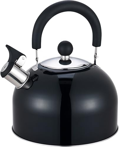 Stainless Steel 2.5L Whistling Tea Kettle, Large Stovetop Kettle for Gas Stove and Induction Hob, Heat Resistant Handle, Fast Boiling Hot Water Kettle (Metallic Black)