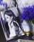 Beauty at Home: Aerin Lauder
