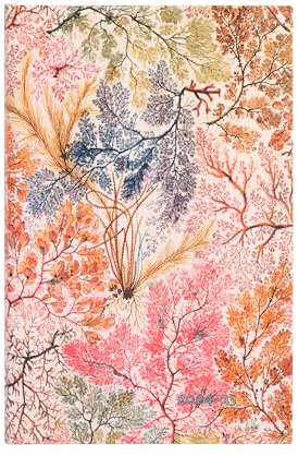 Paperblanks 18-Monatskalender 2025 Anemone, Maxi, Vertikal