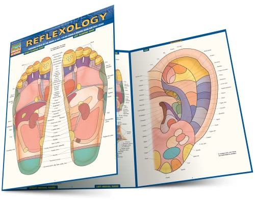 Reflexology: QuickStudy Laminated Reference Guide (Quick Study Academic)