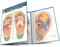 Reflexology: QuickStudy Laminated Reference Guide (Quick Study Academic)