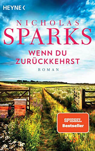Wenn du zurückkehrst: Roman