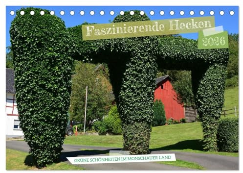 Faszinierende Hecken - Grüne Schönheiten im Monschauer Land (Tischkalender 2026 DIN A5 quer), CALVENDO Monatskalender: Als es noch Eiseskälte im Winter gab ... (CALVENDO Orte)