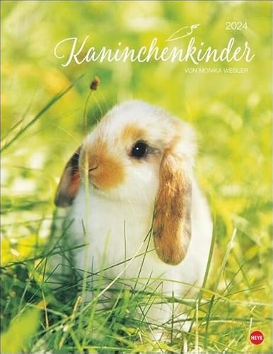 Kaninchenkinder Posterkalender 2024 von Monika Wegler. Ein bezaubernder Tierkalender mit süßen Fotos. Dekorativer Kalender für Tierfreunde. Hochformat 34 x 44 cm.