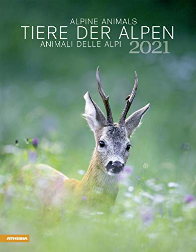 Tiere der Alpen - Kalender 2021: Animali delle Alpi – Alpine animals