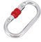 Tiiyee Moschettone a Forma di O, Portachiavi Moschettoni Arrampicata Molla Clip Bloccaggio in Lega Gancio Con Vite Tappo Carabiners Chiusura Acciaio per Campeggio Pesca Trekking Viaggio Amache 25KN