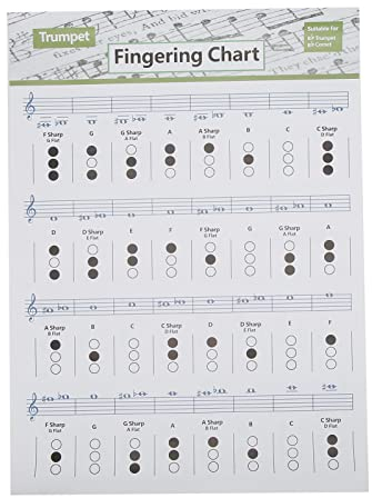 Trompeten Akkord Diagramm, Tragbar, Abriebfest, Langlebig, Trompeten Akkord Diagramm, Geeignet für Studenten, Anfänger, Heimstudium, Unterricht Im Klassenzimmer(Akkordtabelle für Trompete (groß))