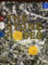 MUSIC SALES LTD