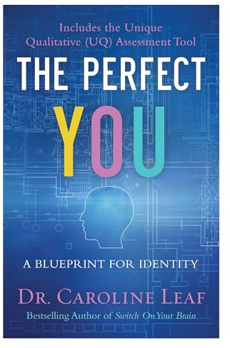 Perfect You: A Blueprint for Identity