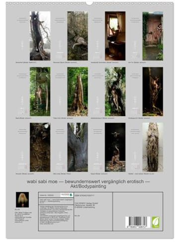 wabi sabi moe — bewundernswert vergänglich erotisch — Akt/Bodypainting (hochwertiger Premium Wandkalender 2025 DIN A2 hoch), Kunstdruck in Hochglanz