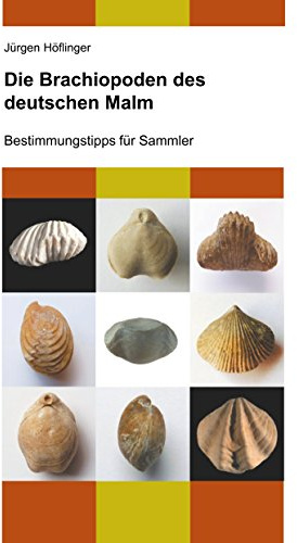 Die Brachiopoden des deutschen Malm: Bestimmungstipps für Sammler