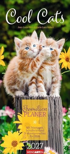 Cool Cats Familienplaner 2027: Großer Foto-Terminkalender mit 5 Spalten für Familien. Schöner Familien-Wandkalender 2027 mit süßen Katzen-Fotos. 22 x 48 cm