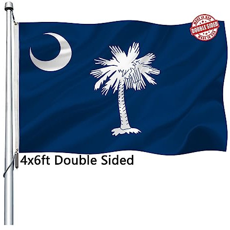 South Carolina Flagge, 10,2 x 15,2 cm, doppelseitig, strapazierfähig, SC-Staatsflaggen mit 2 Messingösen, Palmetto-Staatsflagge