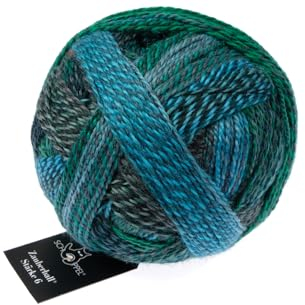 Schoppel Wolle Zauberball Stärke 6, 150g bunte Sockenwolle 6-fädig, dicke Strumpfwolle 6-fach, Sockengarn mit Farbverlauf zum stricken und häkeln | 75% Wolle, 25% Polyamid (2542 Cool Botanical Garden)