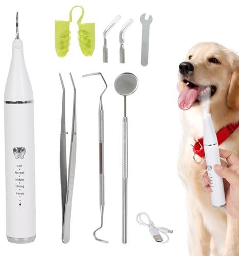 Zahnreinigungsset Ultraschall für Hund, Hundezahnreinigungsset mit LED-Licht, Zahnsteinentferner Ultraschall Zahnreiniger für Haustiere zum Entfernen von Zahnstein & Zahnbelag, 5 Reinigungsmodi