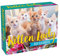 Kitten Lady 2021 Calendar
