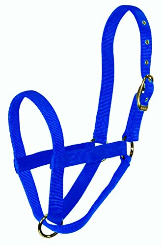 Hamilton Cow Turn Out Halter, Blue