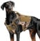 FEimaX Taktisches Hundegeschirr mit Griff Militär Netz Arbeits Taktische Hundegeschirrweste Brustgeschirr für Große Hunde Kein Zug Verstellbare Weste für Spaziergänge Training (Tarnung, M)