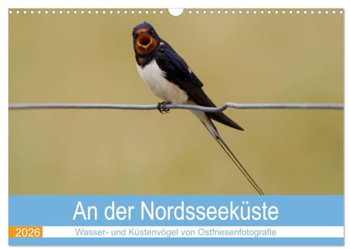 An der Nordseeküste - Wasser- und Küstenvögel fotografiert von Ostfriesenfotografie (Wandkalender 2026 DIN A3 quer), CALVENDO Monatskalender: An der ... von Ostfriesenfotografie (CALVENDO Tiere)