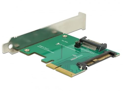 DeLOCK PCIe x4 > U.2 Stecker NVMe