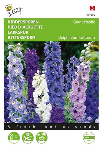 Buzzy Seeds 005325 Rittersporn Giant Pacific Mischung (Ritterspornsamen)