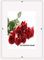 Bilderrahmen Cliprahmen Fotorahmen Bildhalter A1 A2 A3 A4 A5 A6 B2 Kunstglas Plexi (30 x 45 cm)