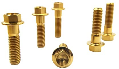 RISON-Titanium Pernos con Reborde de Titanio M8x1.25x40mm, 5 Piezas Tornillo de Cabeza Hexagonal con Brida, Tornillo Allen Accesorios de Fijación Modificación para Moto, Bici