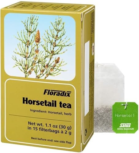Floradix Tisane Prêle Bio 15 sachets