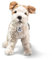 Steiff Foxy Foxterrier 32cm bunt, Süßes Stofftier mit Kunststoffaugen, aus kuschelweichem Plüsch, Plüschtier für Kinder, Jungen & Mädchen, waschmaschinenfest